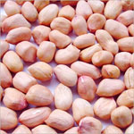 Peanut Seeds Manufacturer Supplier Wholesale Exporter Importer Buyer Trader Retailer in Palanpur Gujarat India